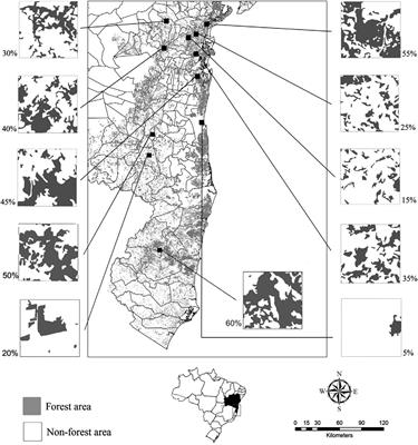 Structural changes and carbon reduction due to habitat loss in Atlantic Forest